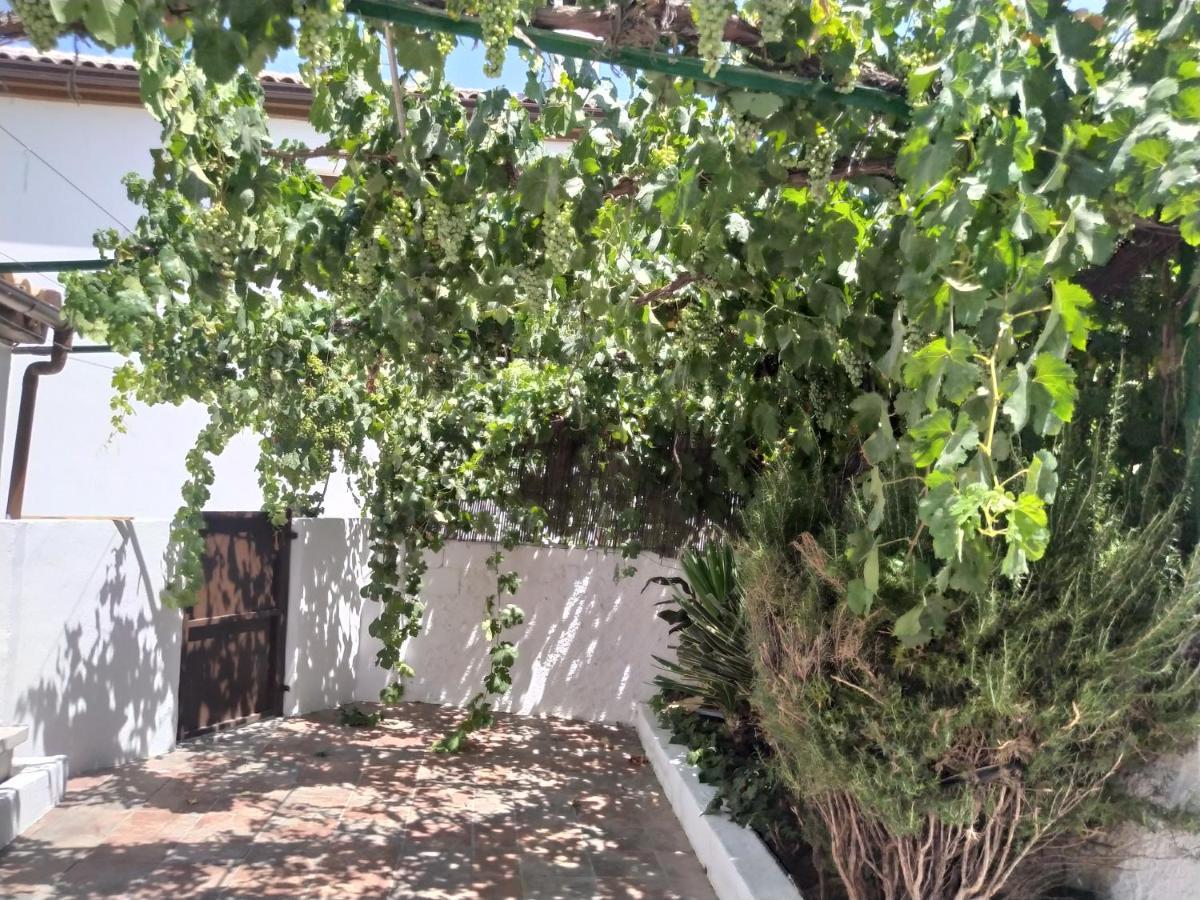 Willa La Casa Del Ingles Montefrío Zewnętrze zdjęcie